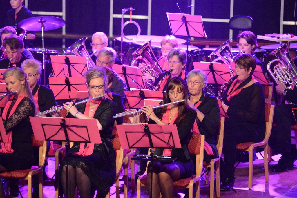 ../Images/Jubileumconcert 100 jaar Harpe Davids 054.jpg